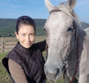 Pudleiner Éva Lovas Ergonómia Szolgálat, Nyereg illeszkedés vizsgálat