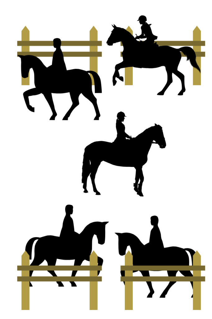 Lovardai szabályok, betartásuk az egyik alapvető feltétele a biztonságos lovaglásnak